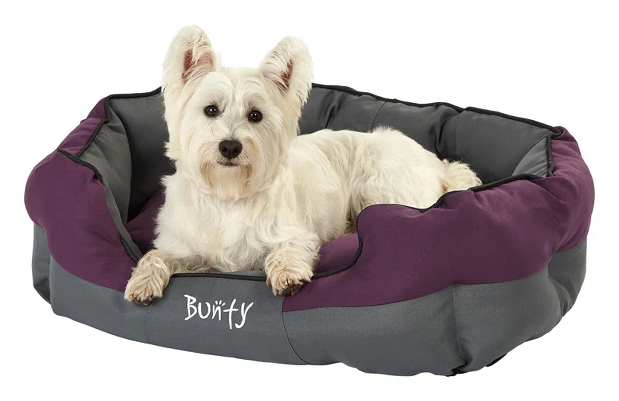 Levesque Polyester Pet Bed