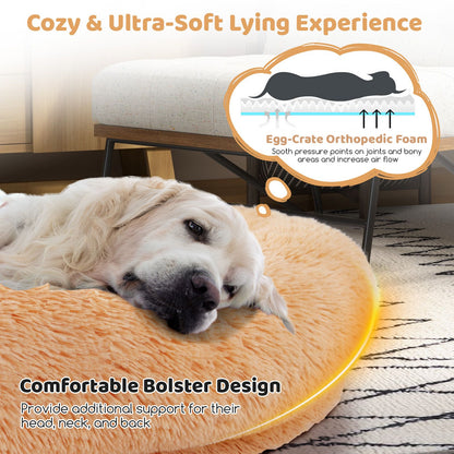 Premium Human Dog Bed with Plush Blanket and Comfort Pillow