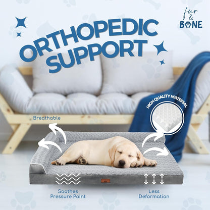 Fur & Bone Large Orthopedic Velvet Dog Bed with Egg Crate Foam