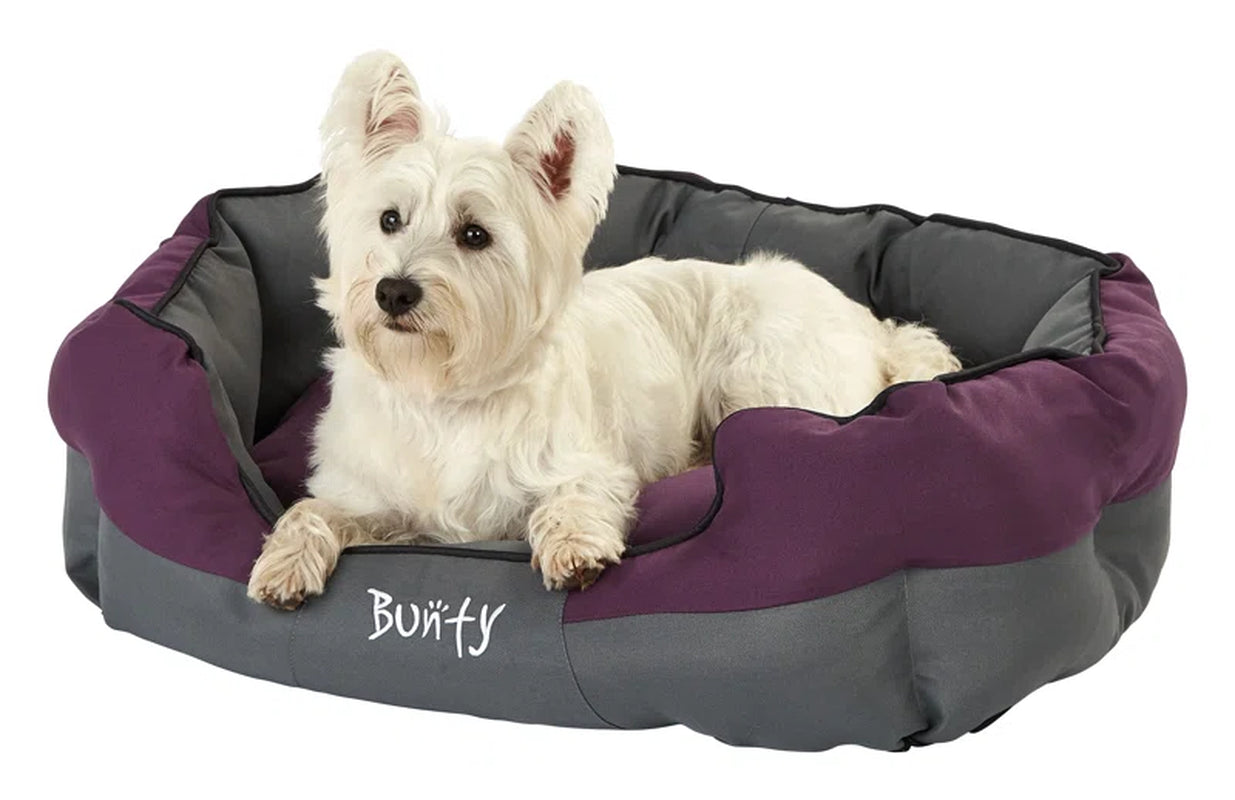 Levesque Polyester Pet Bed