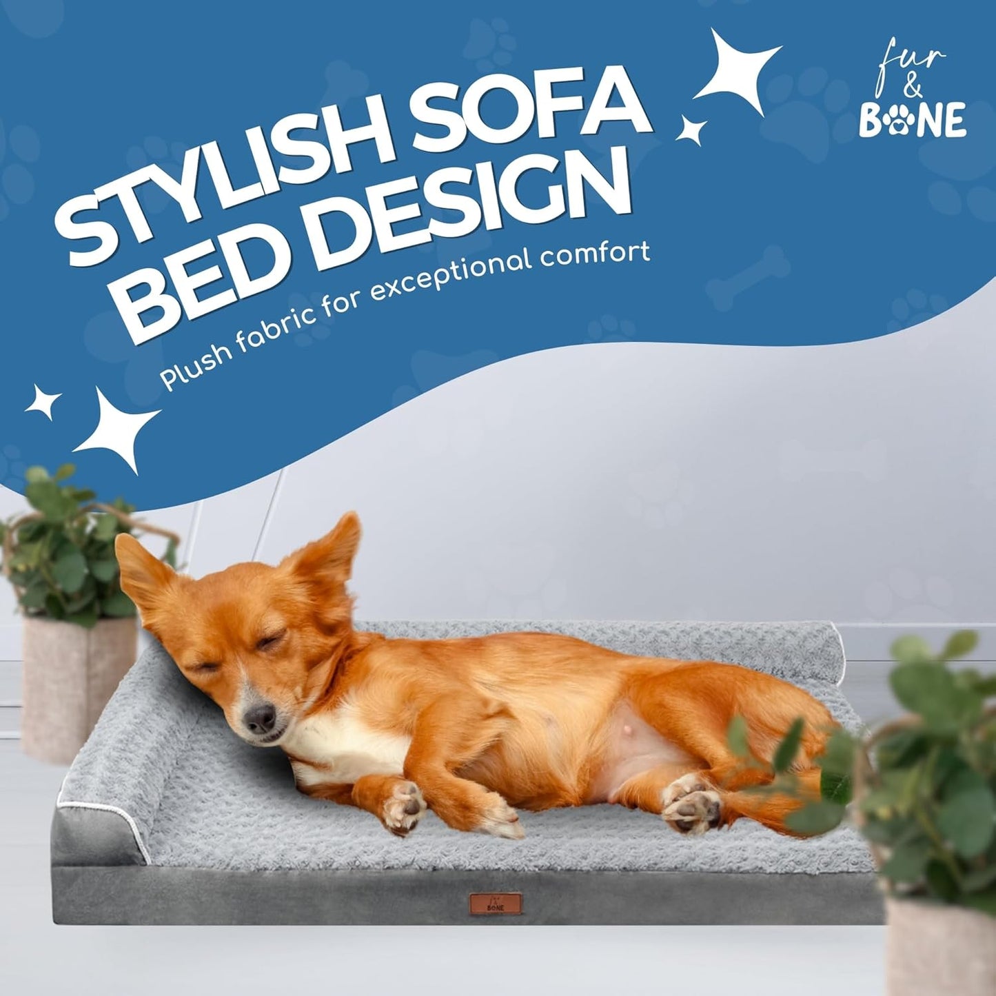 Fur & Bone Large Orthopedic Velvet Dog Bed with Egg Crate Foam