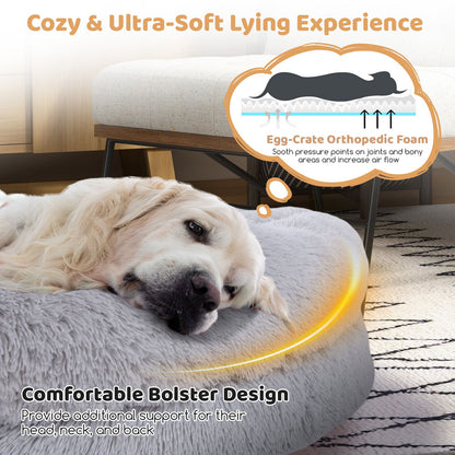 Premium Human Dog Bed with Plush Blanket and Comfort Pillow