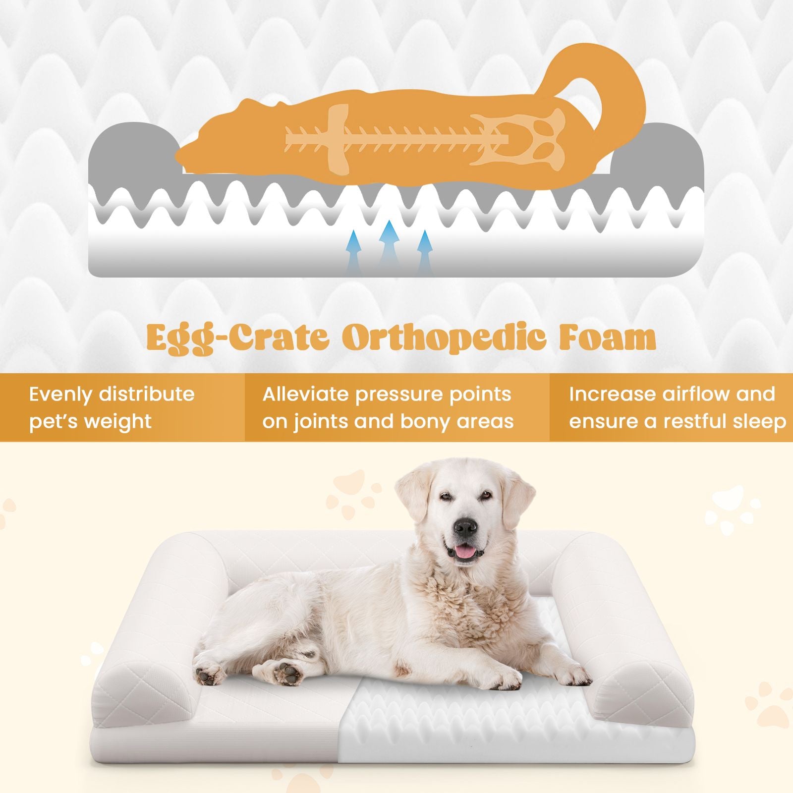 Orthopedic Egg-Foam Dog Crate Bed with Three-Sided Bolster