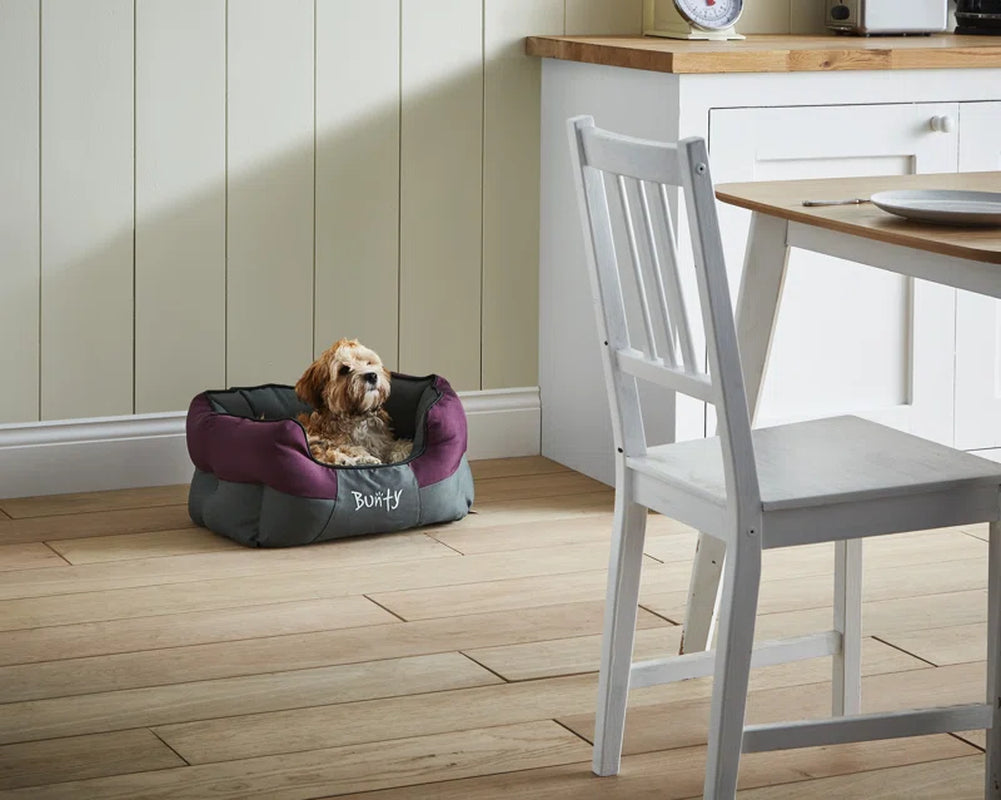 Levesque Polyester Pet Bed