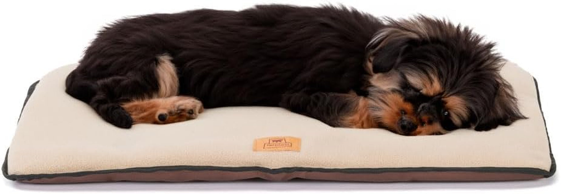Ferplast Double-Sided Scratch-Proof and Waterproof Dog Bed Cushion for Small Dogs