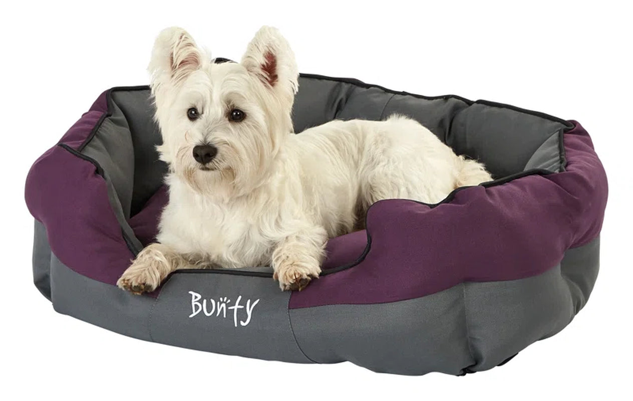 Levesque Polyester Pet Bed